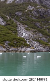 Small chunks of ice caps floating on icy water in Alaska.