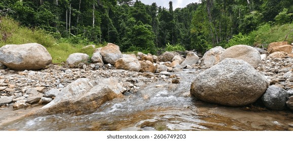 A small, clear river flows in the middle of a sizable expanse of rocks. 