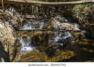 A small clear stream flows over rocks with a fallen log overhead in a shaded ravine in central Portugal.