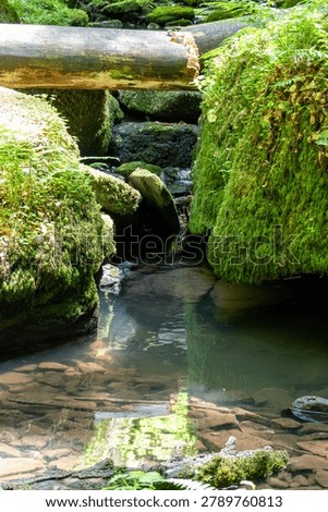 A small, clear stream flows through a narrow gap between massive moss-covered boulders, with a fallen tree log bridging across the top under bright forest sunlight.