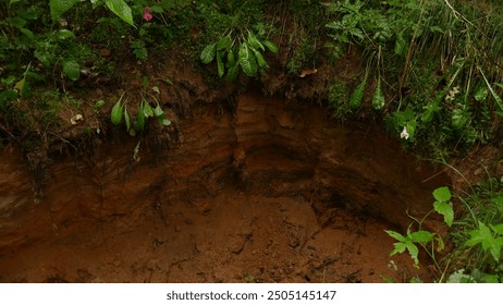 Small cliff in the forest