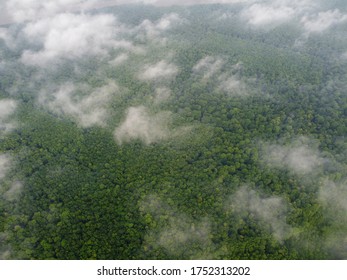 small clouds flying over a dense forest, view from space.