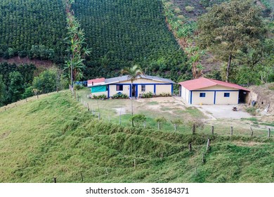 Small Coffee Farm Near Salento Village, Colombia