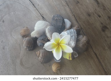 A small collection while in Bali