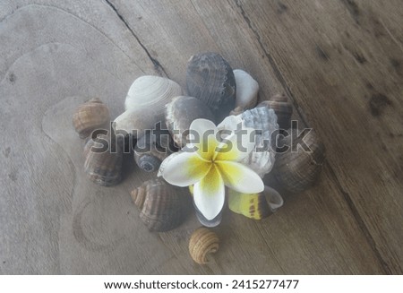 A small collection while in Bali
