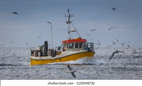 Small Commercial Fishing Boat.