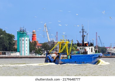 Small Commercial Fishing Vessel. Seagulls. Lighthouse, Baltiysk