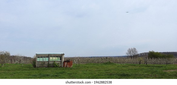 Small concrete shed surrounded by grass and flowering orchards. Roof with asbestos. - Powered by Shutterstock