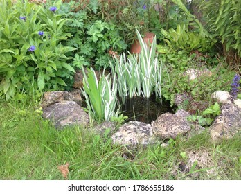 A  Small Cottage Garden Pond With Stones Surrounding Built For Wildlife To Visit