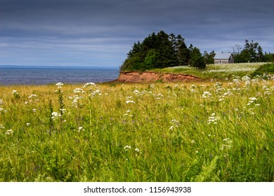 A Small Cottage On The Northumberland Strait 