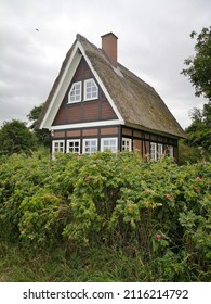 Small Cottage With Thatched Roof Between Rose Hedges By The Sea