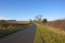 A Small Country Road With Hedgerows And Trees In An Undulating Yorkshire Wolds Landscape Under A Clear Blue Sky In Winter