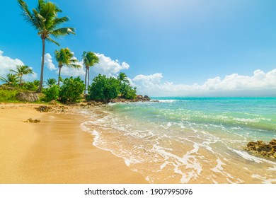 Small Cove In Le Gosier Shore. Guadeloupe, Caribbean Sea