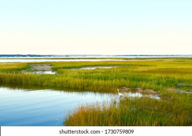 A Small Cove Off Of Moriches Bay Is Protected By The Embrace Of The Salt Marsh. Westhampton Beach, Long Island, NY.  Copy Space.