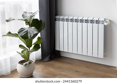 a small cozy room with a wooden floor, gray curtains, a large panoramic window and a white battery and heating thermostat on the wall. A large green vase of ficus in a white pot on the floor.