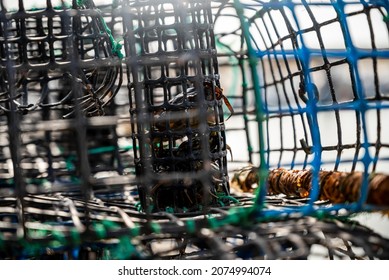 Small crabs used as bait in octopus traps in Alvor, Algarve, Portugal