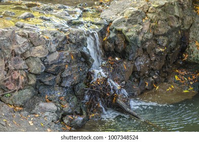 Small Creek Cascade