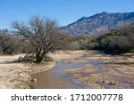 Small creek in Catalina State Park near Tucson in Arizona USA