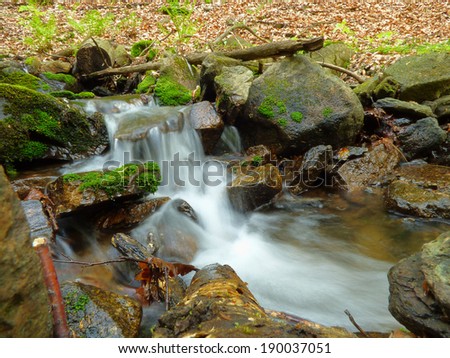 Small creek in forest Stock fotó © 