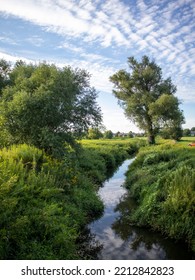 Small Creek In Grass Filed 