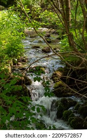 Small Creek In The Mountains