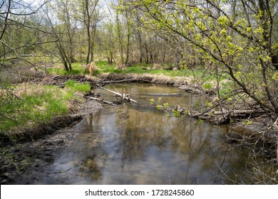 Small creek running through Elm Creek Park Reserve in Maple Grove Minnesota during springtime