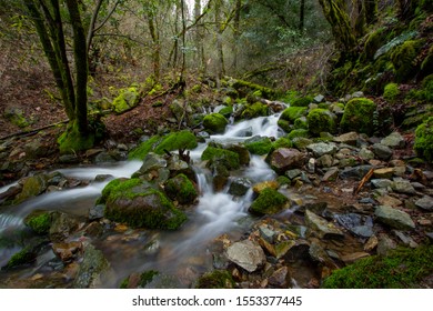 Small Creek Running Throught The California Gold Country