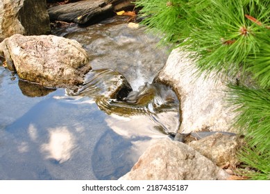 Small Creek Running Water Reflection