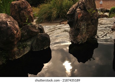 Small Creek Running Water Reflection