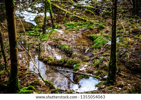 small creek sinter terraces Stock foto © 