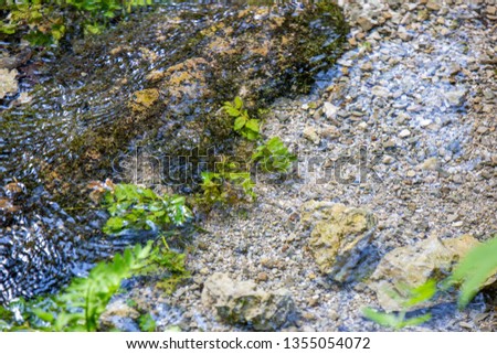 small creek water reflection Stock foto © 