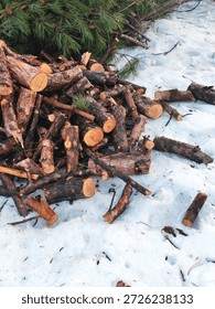 Small cut pine logs and pine branches in snow. The natural scene highlights forestry, wood resources, and seasonal winter conditions, suitable for themes of nature, environment, fuelwood, and rural life.