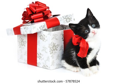 Christmas Kitten Images Stock Photos Vectors Shutterstock