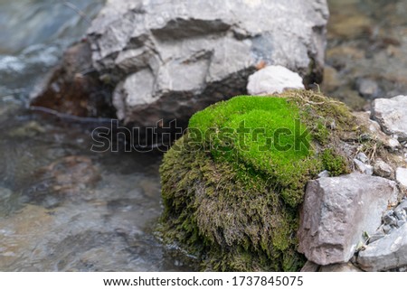 The small cute stream flows between green moss and stones in Fann mountains in Tajikistan