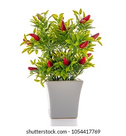 Small Decorative Chilli Pepper Plant In A Ceramic Vase Isolated On White Background.