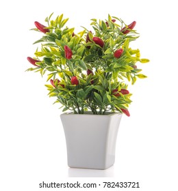 Small Decorative Chilli Pepper Plant In A Ceramic Vase Isolated On White Background.