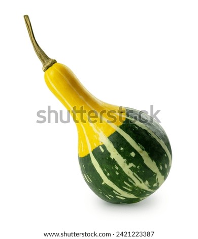 Small decorative pumpkin isolated on solid white with soft shade. Striped, long-necked, pear-shaped pepo squash.