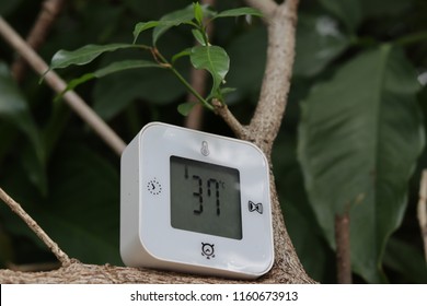 small digital clock and temperature device to bring to outdoor because it is portable and light weight