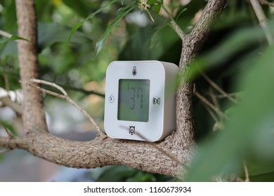 small digital clock and temperature device to bring to outdoor because it is portable and light weight