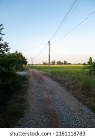 The Small Dirt Road Along The Paddy Field Near The Countryside Village, With The Electric Pole Along The Way To The Farmer's House, Front View For The Copy Space.