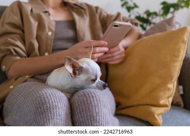 Small dog sitting on lap of woman using vet app on phone. - Powered by Shutterstock