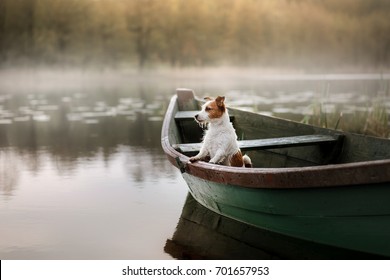 9,351 Pets Boat Images, Stock Photos & Vectors | Shutterstock