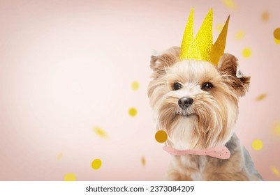 Small dog (Yorkshire terrier) with cute expression wearing gold crown. Confetti on pink background. Birthday, new year, party, holidays, anniversary, daddy day concept. Copy space.
 - Shutterstock ID 2373084209