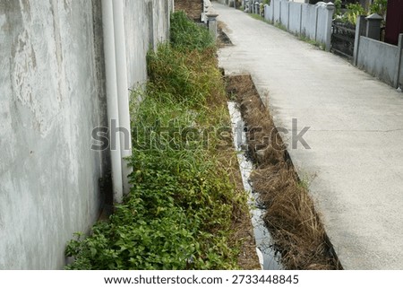 A small drainage ditch on the side of a suburban road, overgrown with weeds, adjoins the walls and concrete roads of a residential area.
