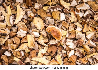 Small Dried Pieces Of Fomitopsis Pinicola Also Known As Red Belt Conk Fungus. Used For Smoke In Beekeeping Gear, Fruity Dry Body Is Good For Natural Tinder.