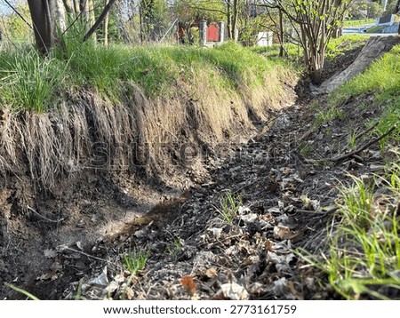 Small dry ditch or stream bed in spring with fresh green grass on top and dry leaves on soil. Concept of garden drainage, soil erosion, and suburban environmental transition.