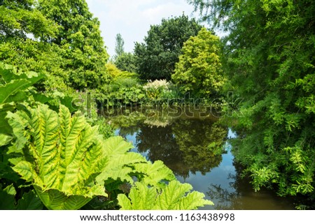 Small duck pond surrounded by lavish greenery in Hyde Hall garden Essex, UK