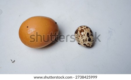 A small egg is next to a larger egg. The smaller egg is brown and white, while the larger egg is mostly white