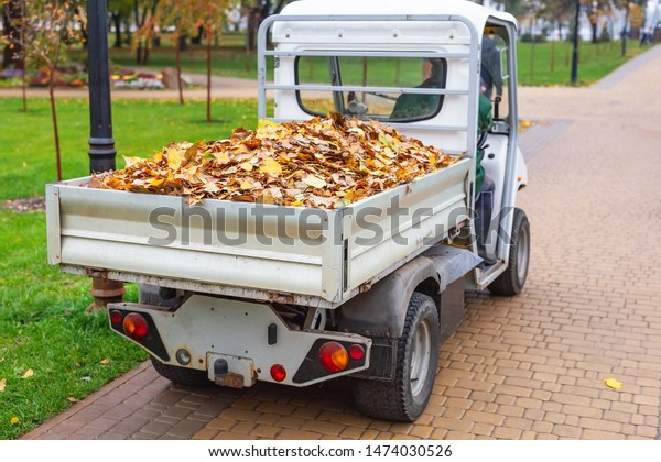 Small electric truck removing fallen\
leaves in body at autumn city park. Municipal urban services using\
ecology green vehicle lorry to clean streets from\
foliage
