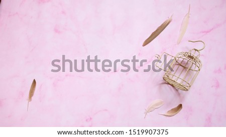 Similar – Image, Stock Photo The empty laying cages of poultry houses, old, decayed, abandoned